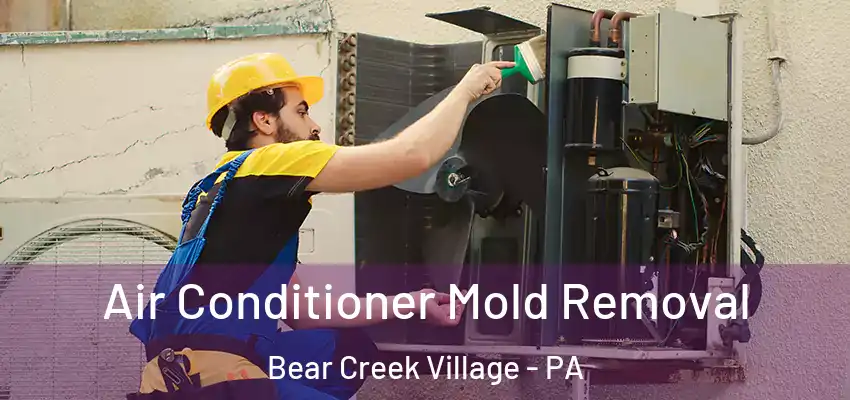 Air Conditioner Mold Removal Bear Creek Village - PA
