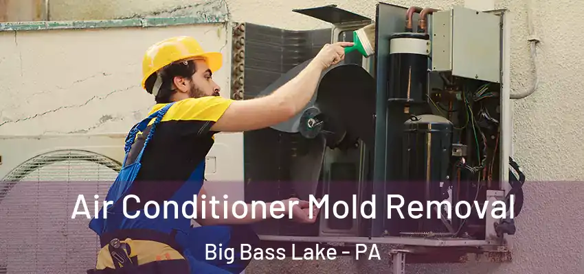 Air Conditioner Mold Removal Big Bass Lake - PA