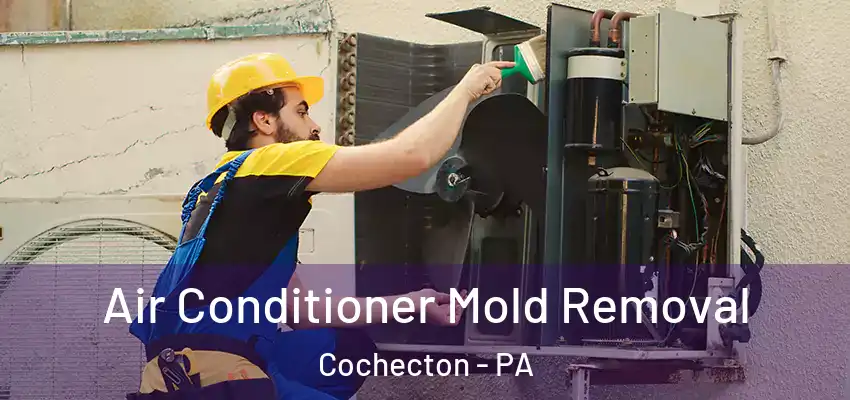 Air Conditioner Mold Removal Cochecton - PA