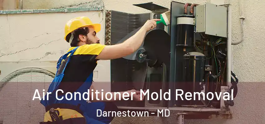 Air Conditioner Mold Removal Darnestown - MD