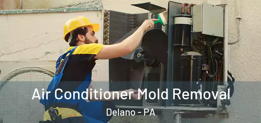 Air Conditioner Mold Removal Delano - PA