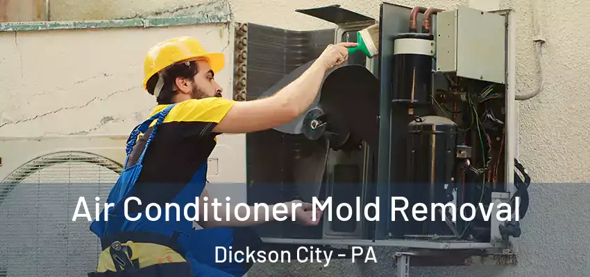 Air Conditioner Mold Removal Dickson City - PA