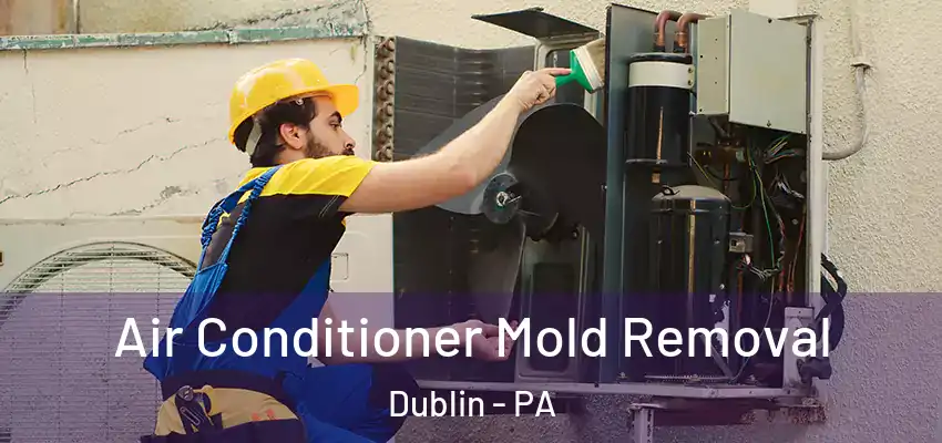 Air Conditioner Mold Removal Dublin - PA
