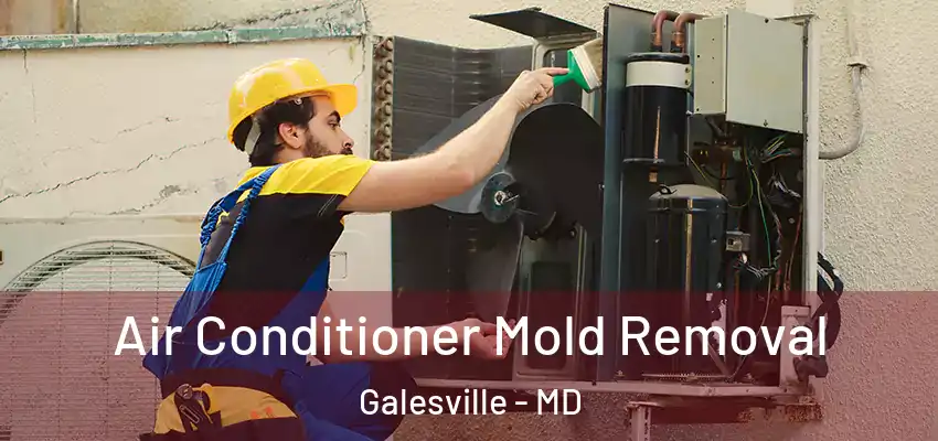 Air Conditioner Mold Removal Galesville - MD