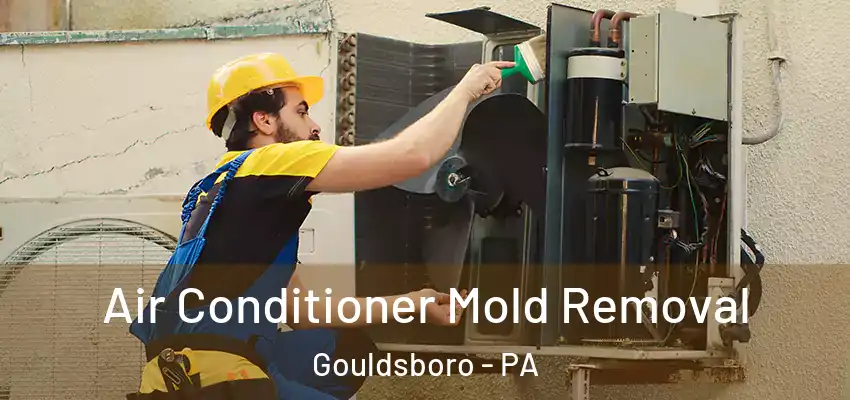 Air Conditioner Mold Removal Gouldsboro - PA
