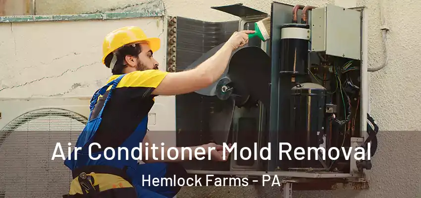 Air Conditioner Mold Removal Hemlock Farms - PA