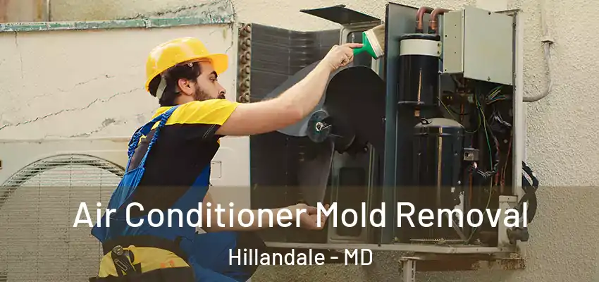 Air Conditioner Mold Removal Hillandale - MD