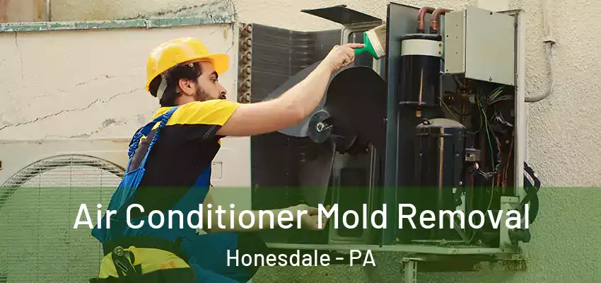 Air Conditioner Mold Removal Honesdale - PA