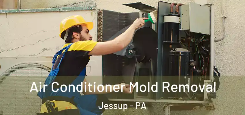 Air Conditioner Mold Removal Jessup - PA