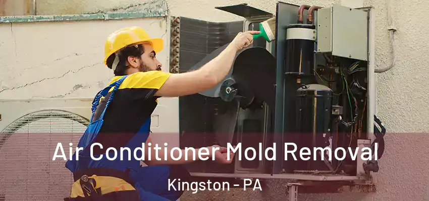Air Conditioner Mold Removal Kingston - PA