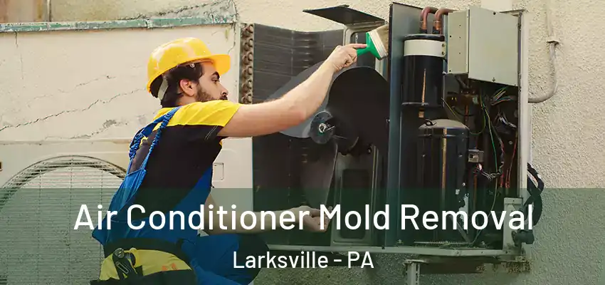 Air Conditioner Mold Removal Larksville - PA
