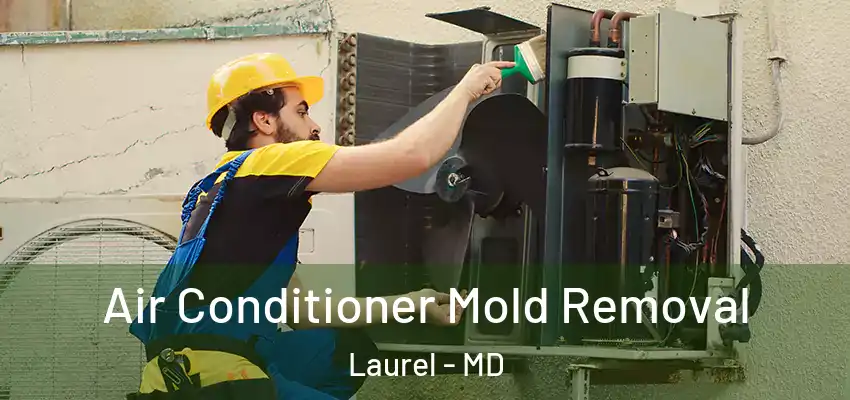  Air Conditioner Mold Removal Laurel - MD