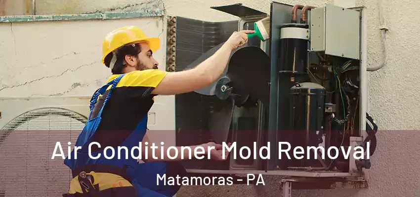 Air Conditioner Mold Removal Matamoras - PA