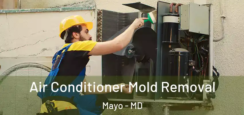 Air Conditioner Mold Removal Mayo - MD