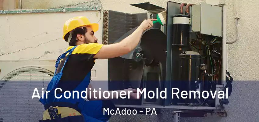 Air Conditioner Mold Removal McAdoo - PA