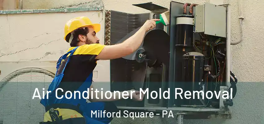 Air Conditioner Mold Removal Milford Square - PA