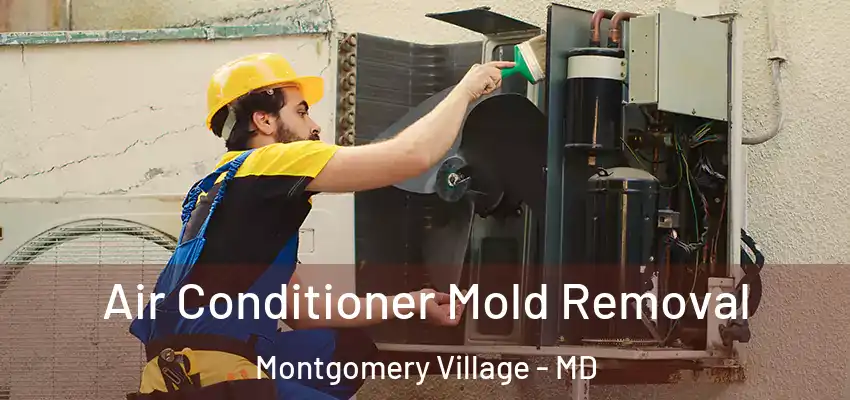 Air Conditioner Mold Removal Montgomery Village - MD