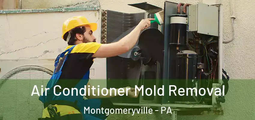 Air Conditioner Mold Removal Montgomeryville - PA