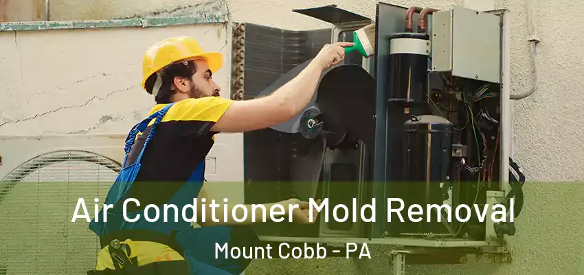Air Conditioner Mold Removal Mount Cobb - PA