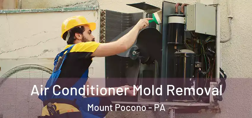 Air Conditioner Mold Removal Mount Pocono - PA