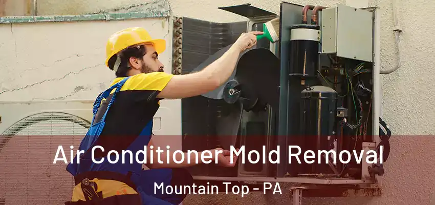 Air Conditioner Mold Removal Mountain Top - PA