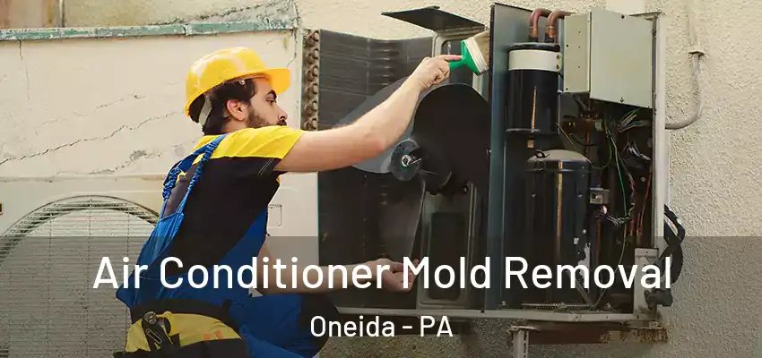 Air Conditioner Mold Removal Oneida - PA
