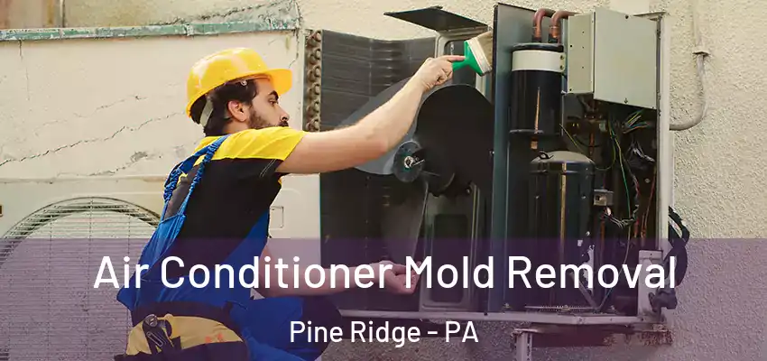  Air Conditioner Mold Removal Pine Ridge - PA