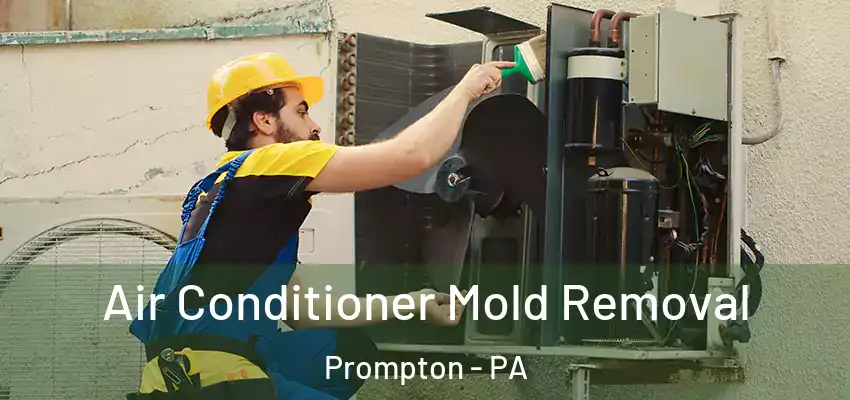Air Conditioner Mold Removal Prompton - PA