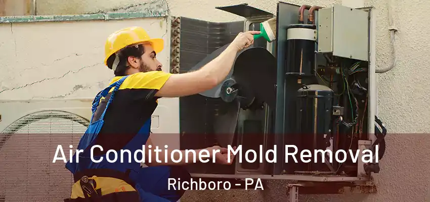  Air Conditioner Mold Removal Richboro - PA