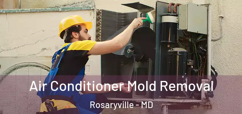 Air Conditioner Mold Removal Rosaryville - MD