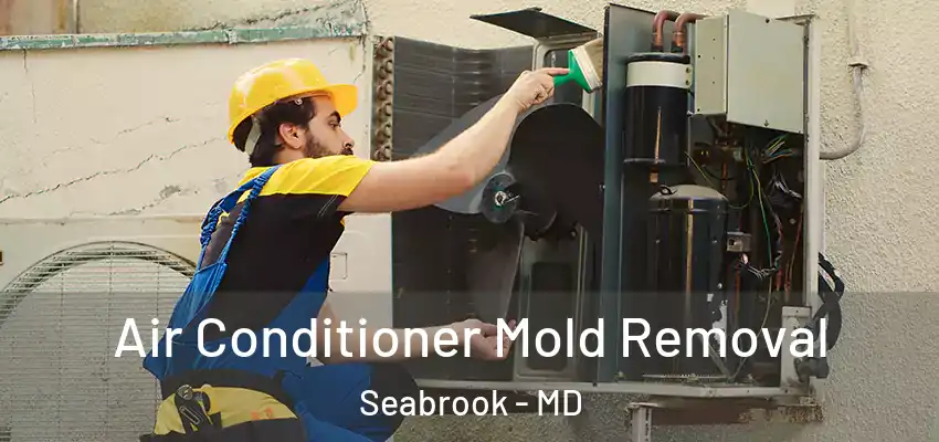 Air Conditioner Mold Removal Seabrook - MD