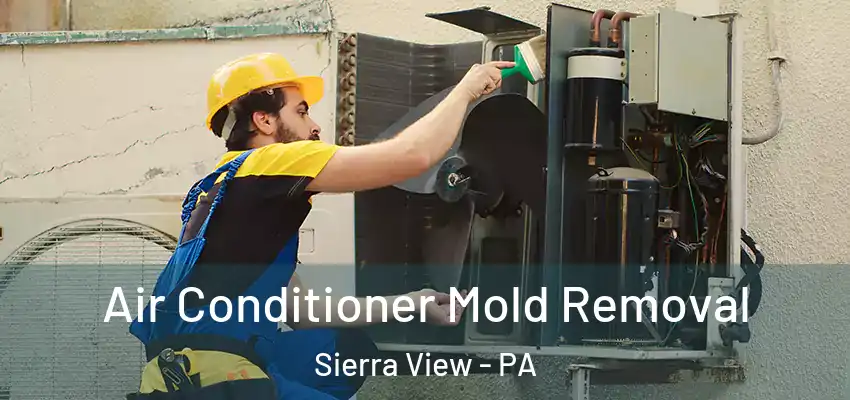Air Conditioner Mold Removal Sierra View - PA