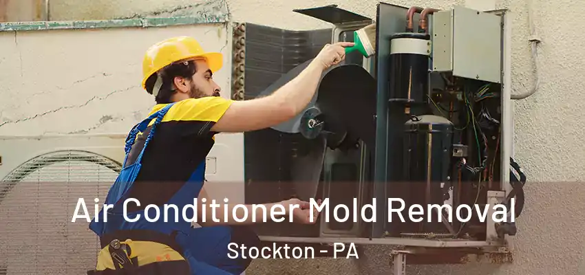 Air Conditioner Mold Removal Stockton - PA