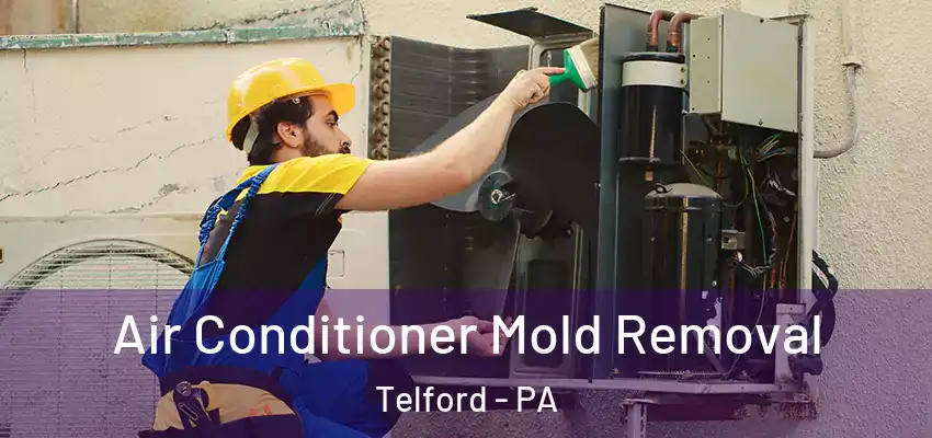 Air Conditioner Mold Removal Telford - PA
