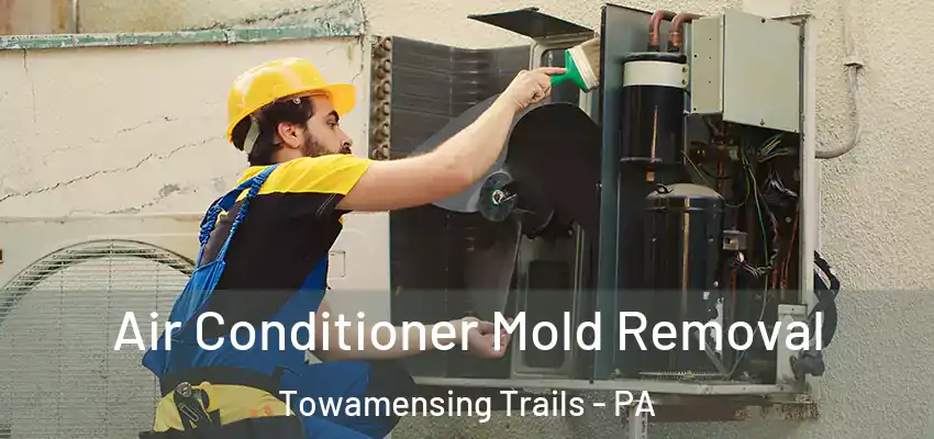 Air Conditioner Mold Removal Towamensing Trails - PA