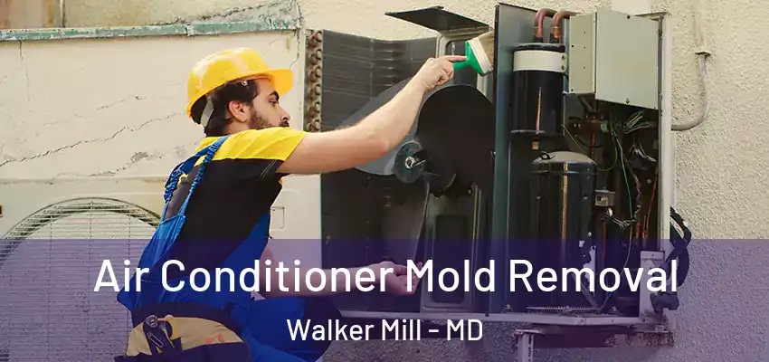 Air Conditioner Mold Removal Walker Mill - MD