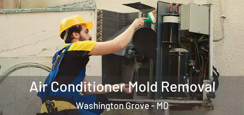  Air Conditioner Mold Removal Washington Grove - MD