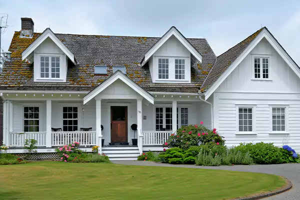 Mold Removal Services in Scranton, PA