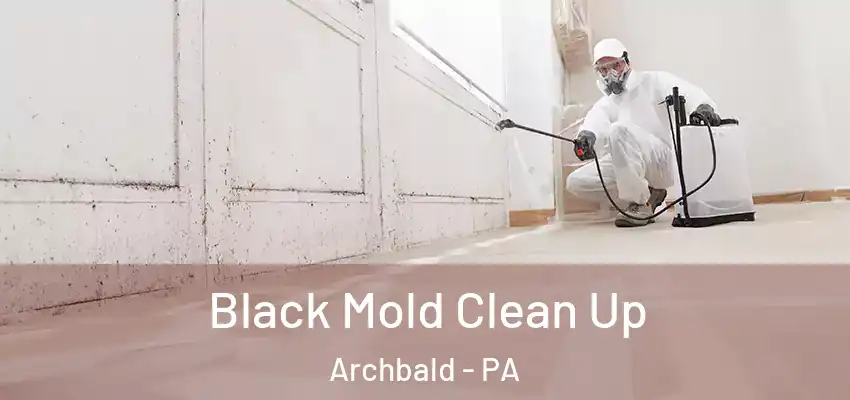 Black Mold Clean Up Archbald - PA