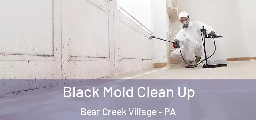 Black Mold Clean Up Bear Creek Village - PA