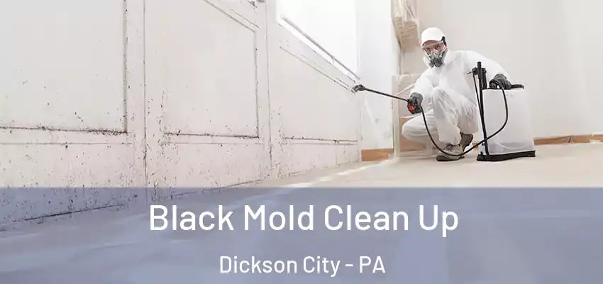 Black Mold Clean Up Dickson City - PA