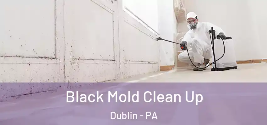 Black Mold Clean Up Dublin - PA