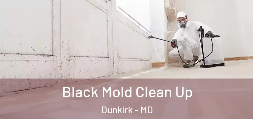Black Mold Clean Up Dunkirk - MD