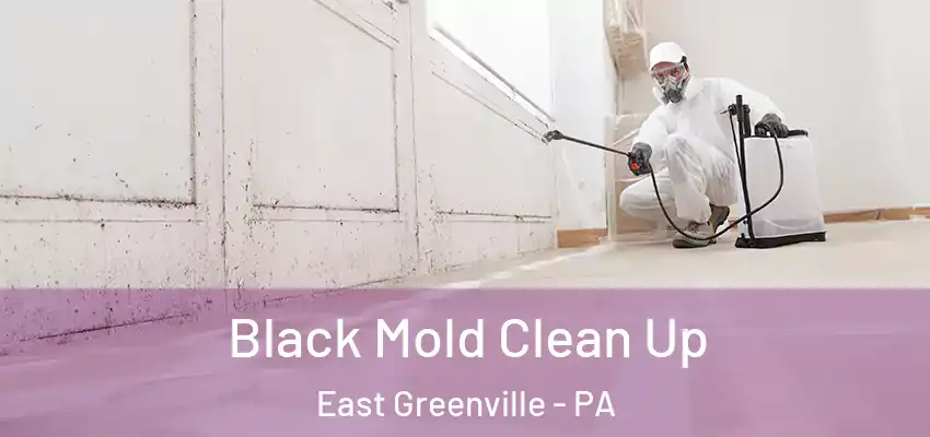 Black Mold Clean Up East Greenville - PA