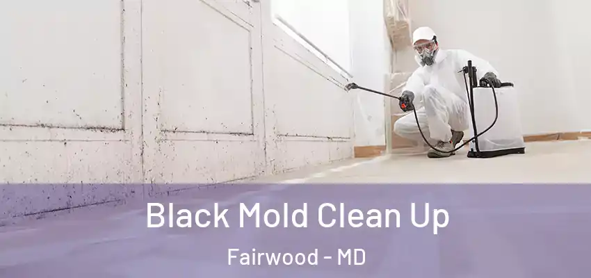 Black Mold Clean Up Fairwood - MD