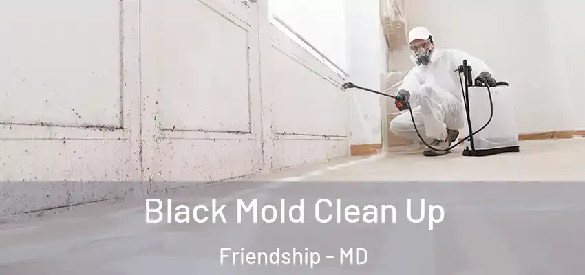 Black Mold Clean Up Friendship - MD