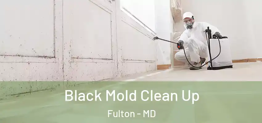 Black Mold Clean Up Fulton - MD