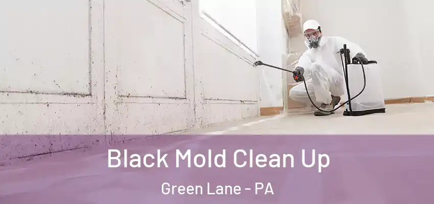 Black Mold Clean Up Green Lane - PA