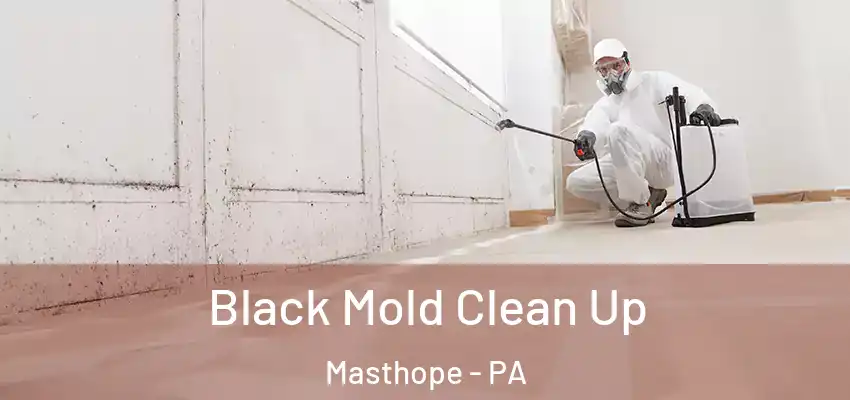 Black Mold Clean Up Masthope - PA