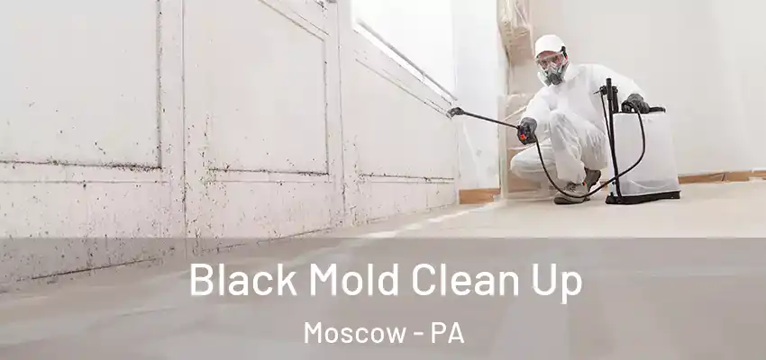 Black Mold Clean Up Moscow - PA